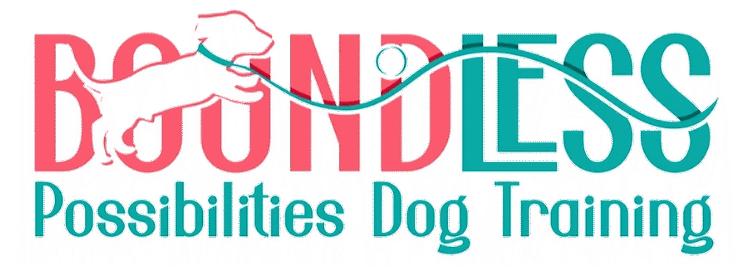 Boundless Possibilities Dog Training